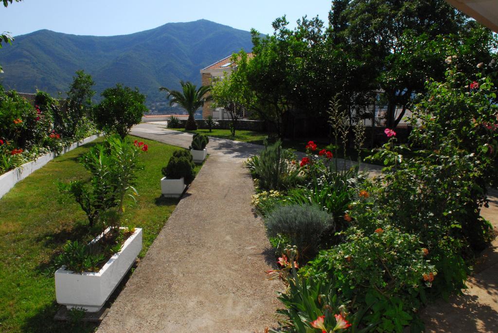 Apartments Blue Lagoon Kotor Exterior foto