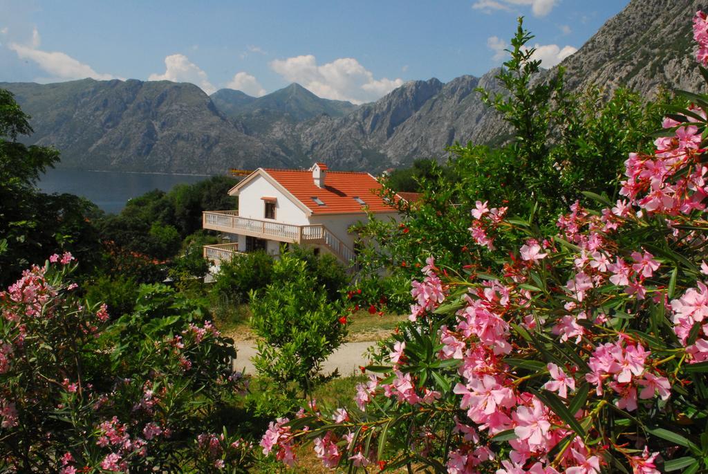 Apartments Blue Lagoon Kotor Exterior foto